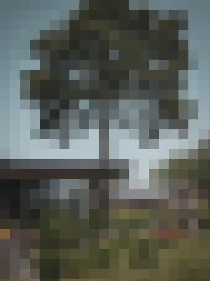 Retranchementseweg 13 Cadzand thumbnail 11