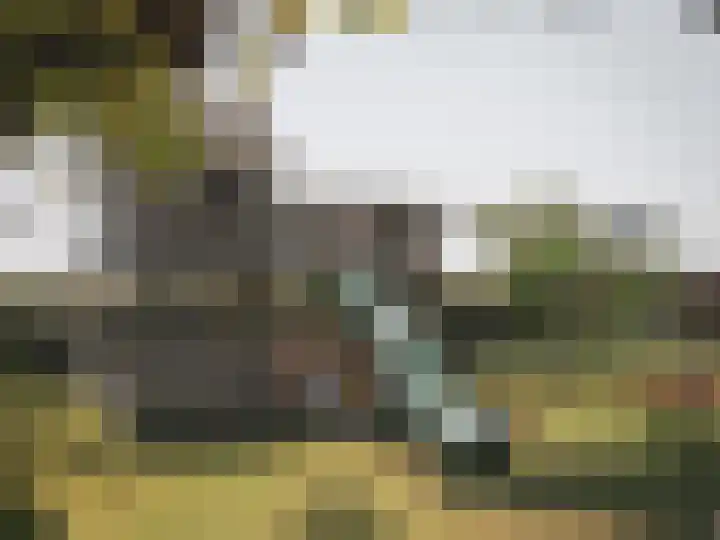 Retranchementseweg 13 Cadzand thumbnail 13