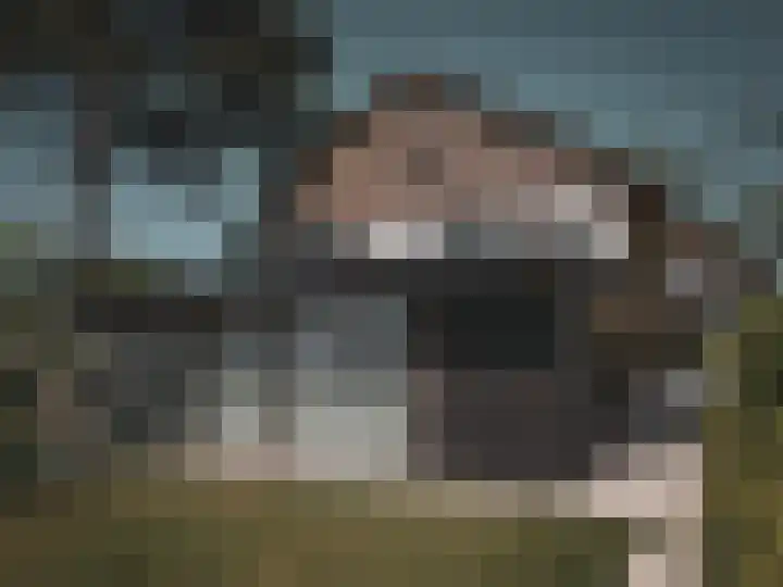 Retranchementseweg 13 Cadzand thumbnail 16