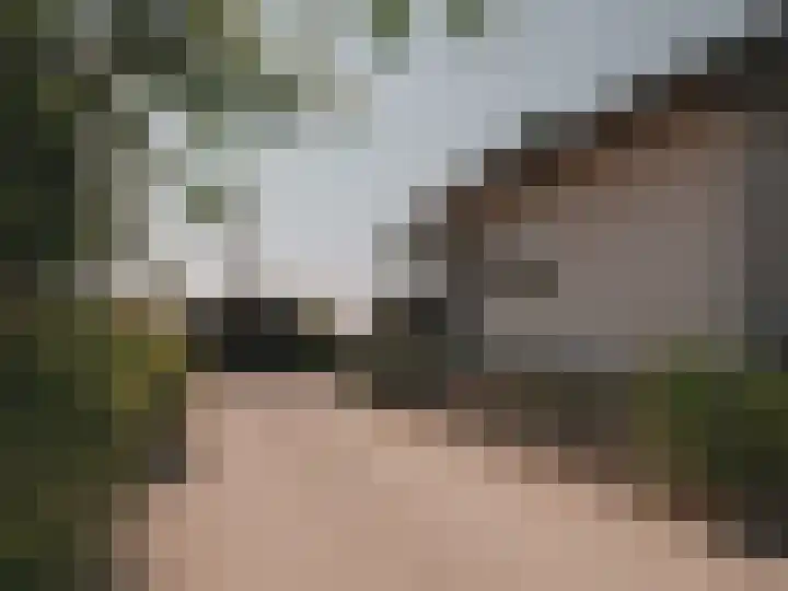 Retranchementseweg 13 Cadzand thumbnail 17