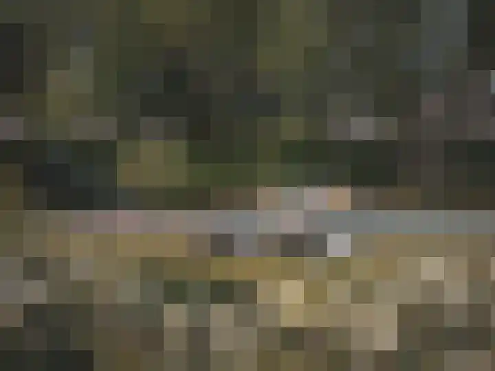 Retranchementseweg 13 Cadzand thumbnail 19