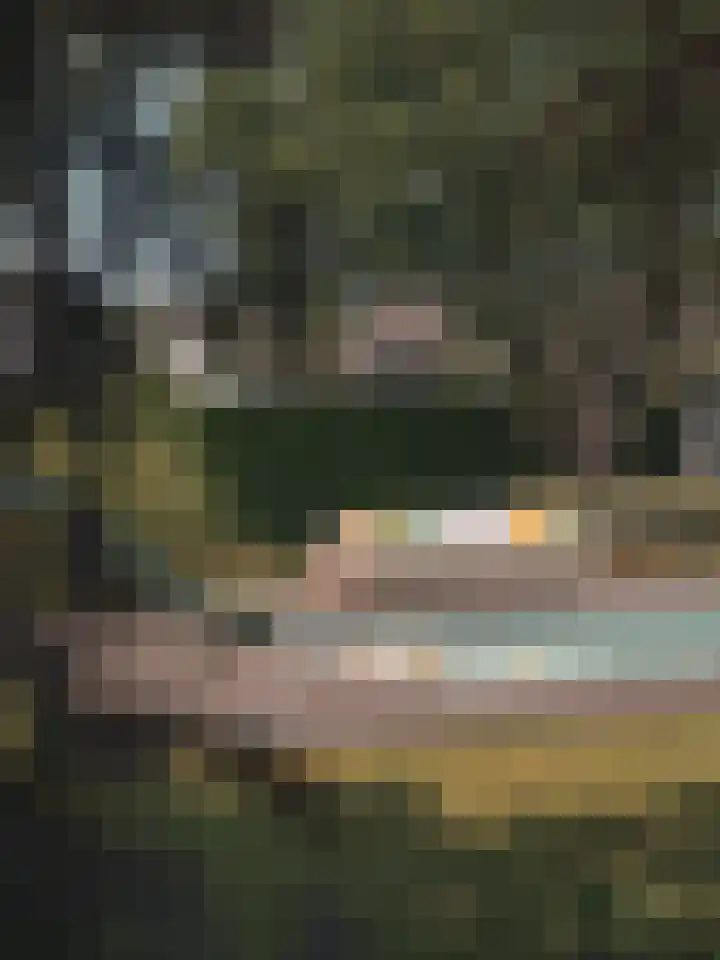 Retranchementseweg 13 Cadzand thumbnail 22