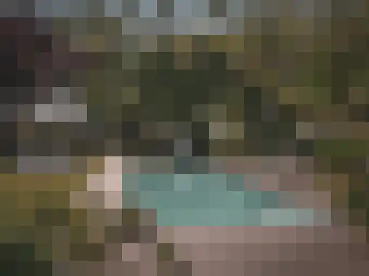 Retranchementseweg 13 Cadzand thumbnail 24