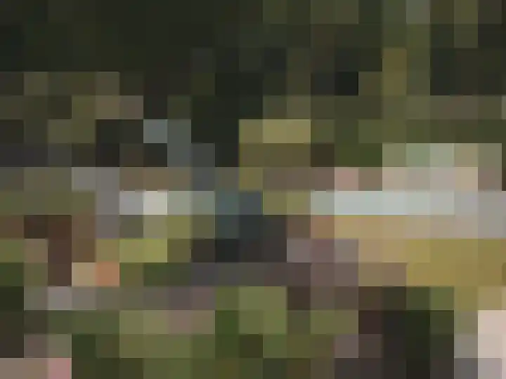 Retranchementseweg 13 Cadzand thumbnail 8