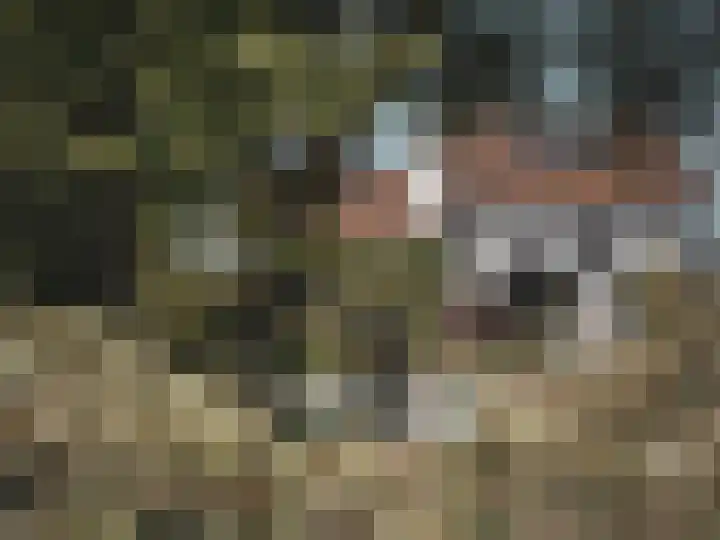 Retranchementseweg 13 Cadzand thumbnail 9