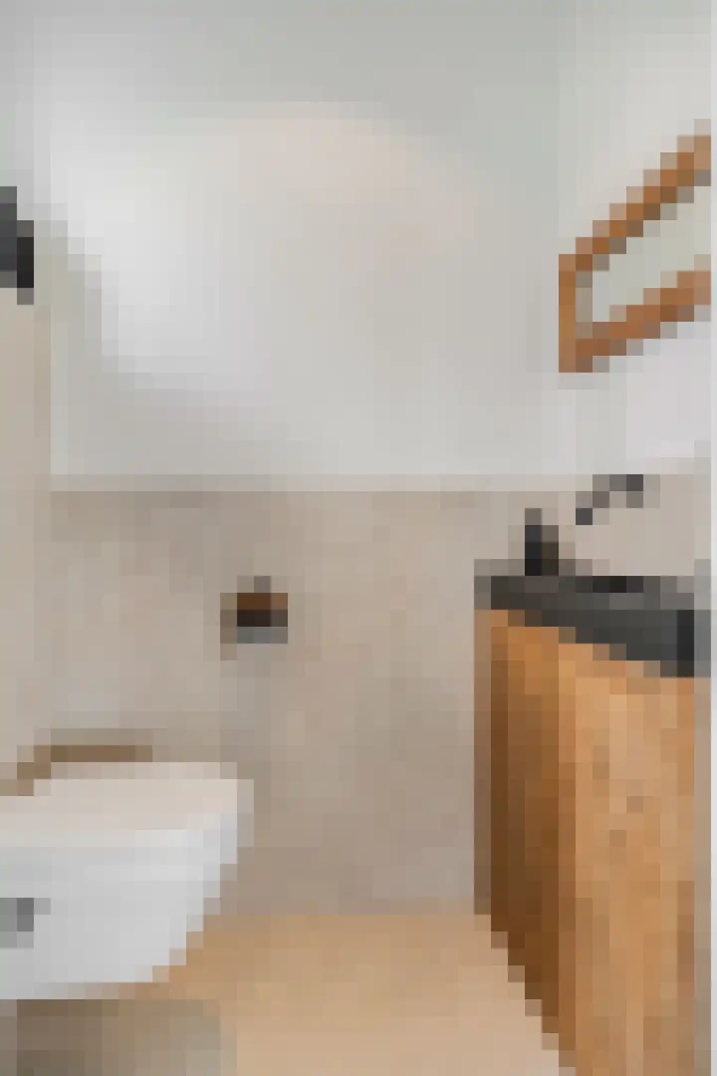 Retsestraat 14 Zoelen thumbnail 32