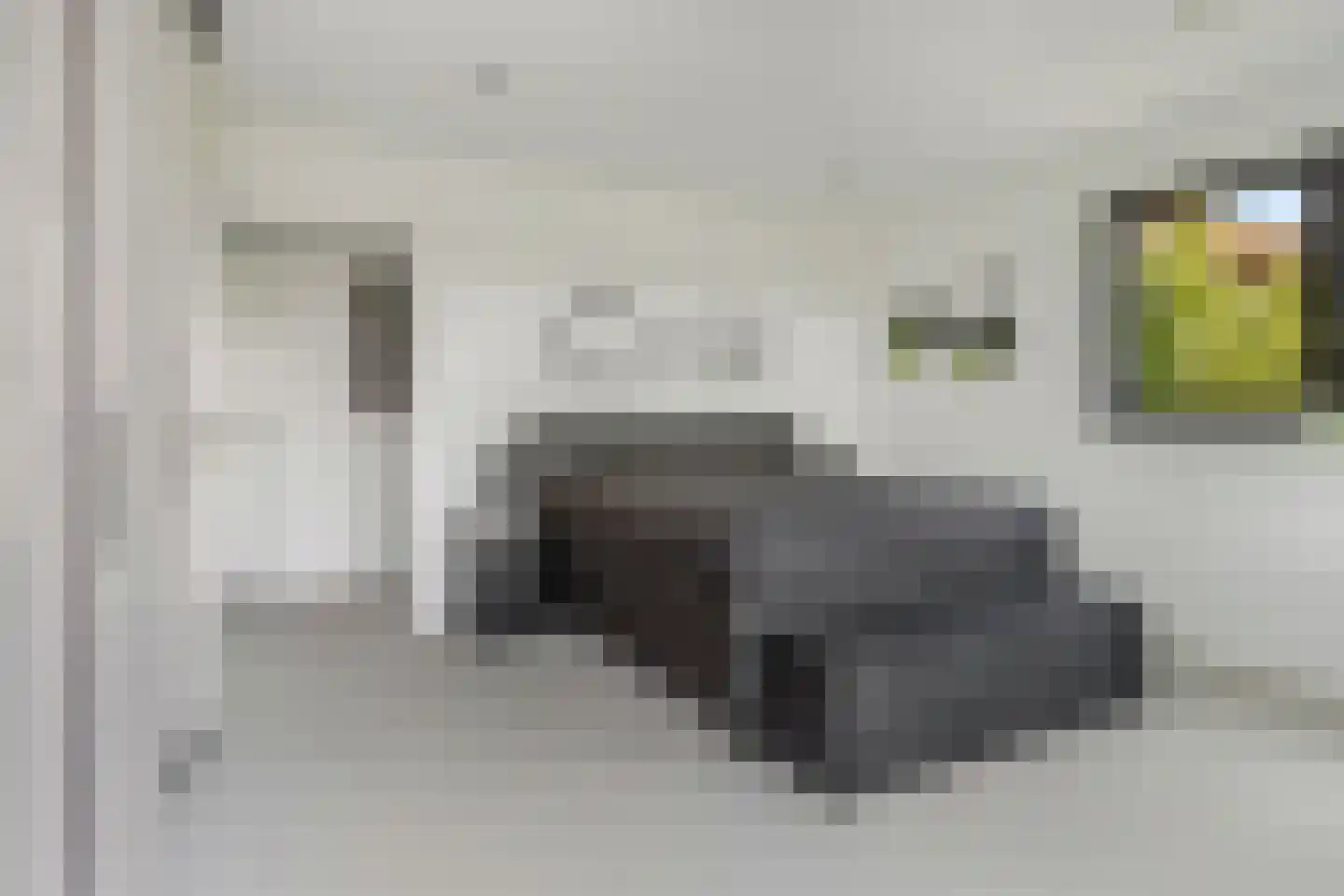 Retsestraat 14 Zoelen thumbnail 39