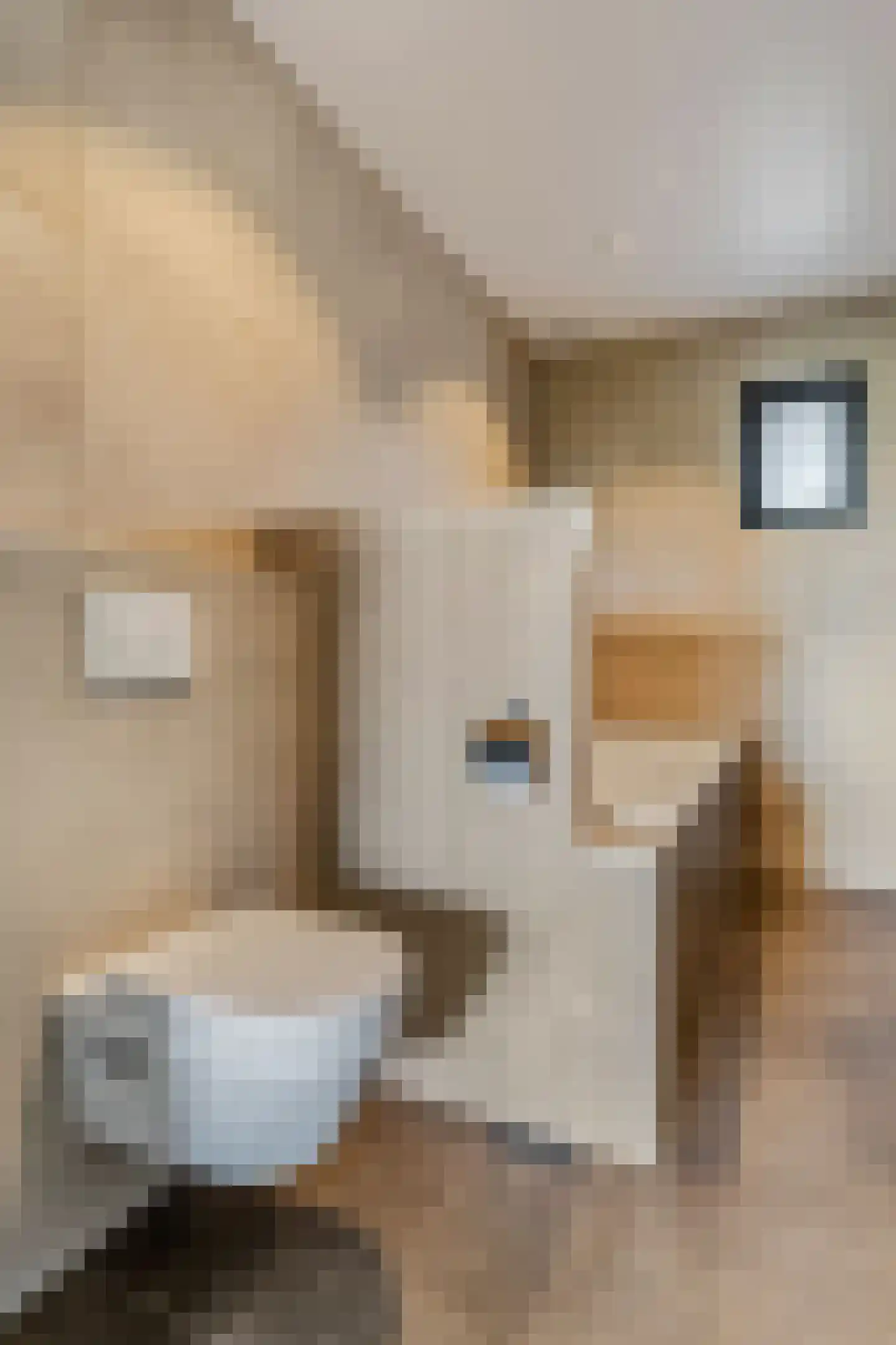 Retsestraat 14 Zoelen thumbnail 40