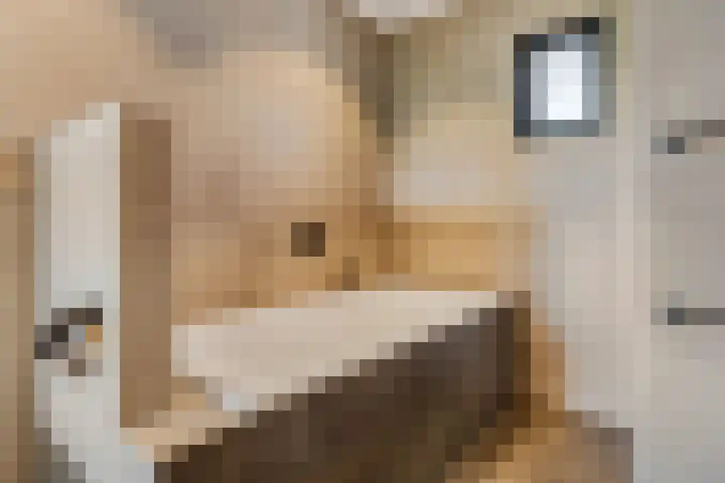 Retsestraat 14 Zoelen thumbnail 41