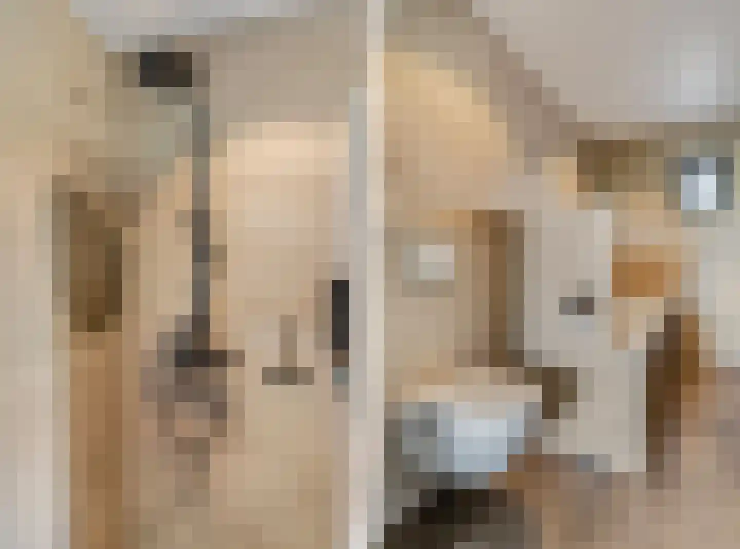 Retsestraat 14 Zoelen thumbnail 42