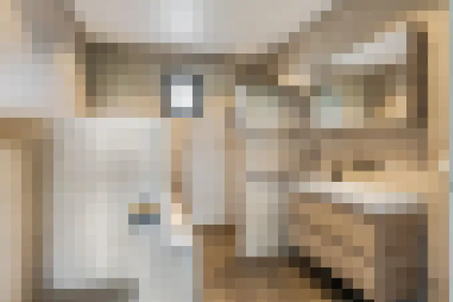 Retsestraat 14 Zoelen thumbnail 5