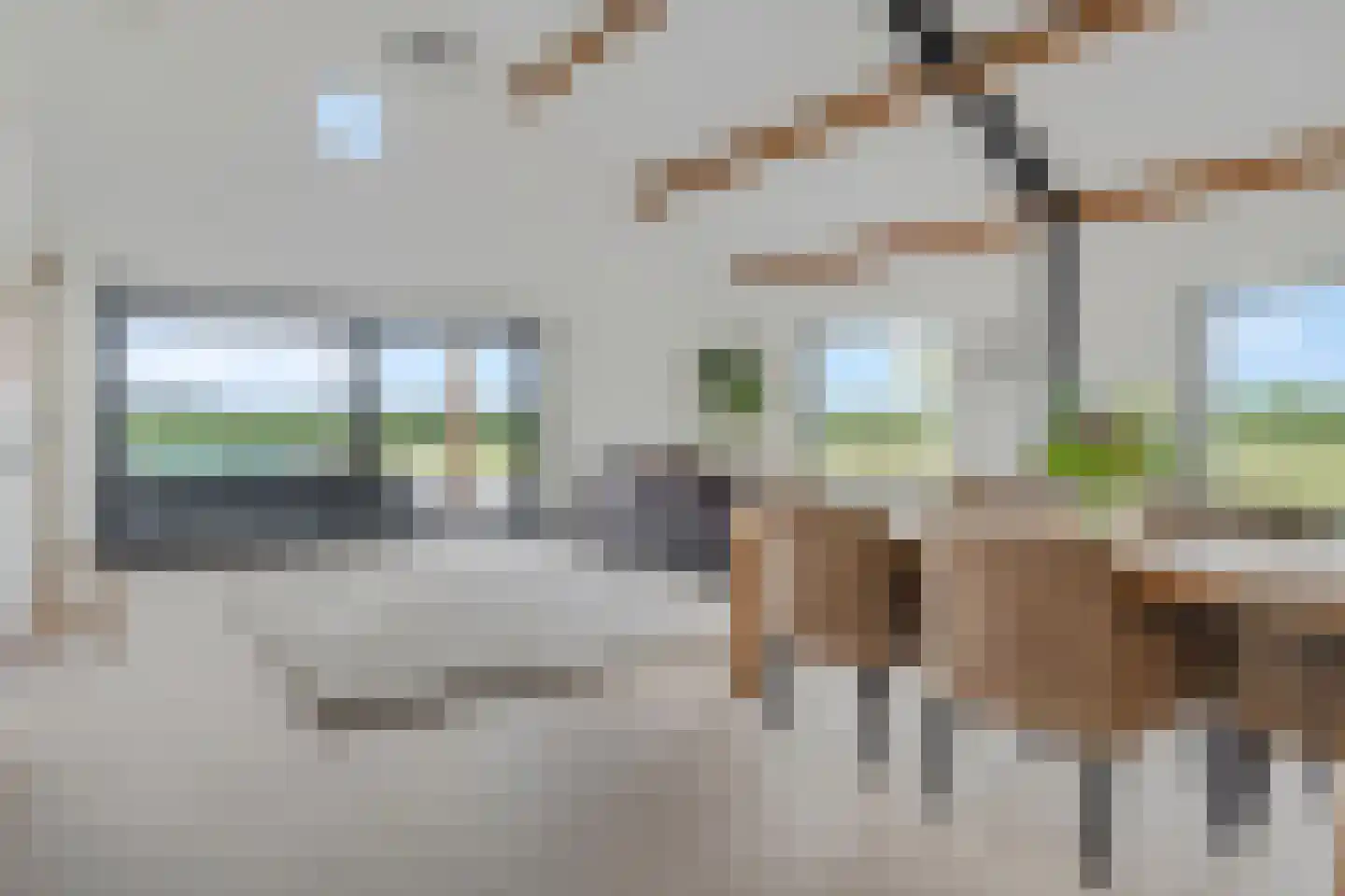 Retsestraat 14 Zoelen thumbnail 50