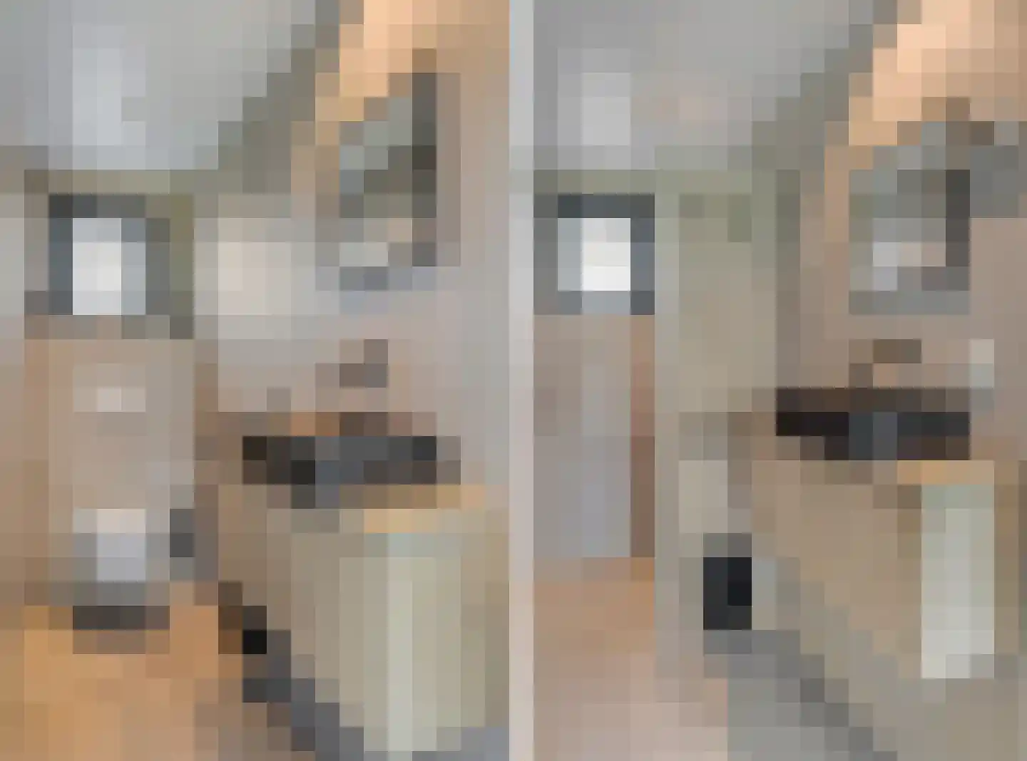 Retsestraat 14 Zoelen thumbnail 56