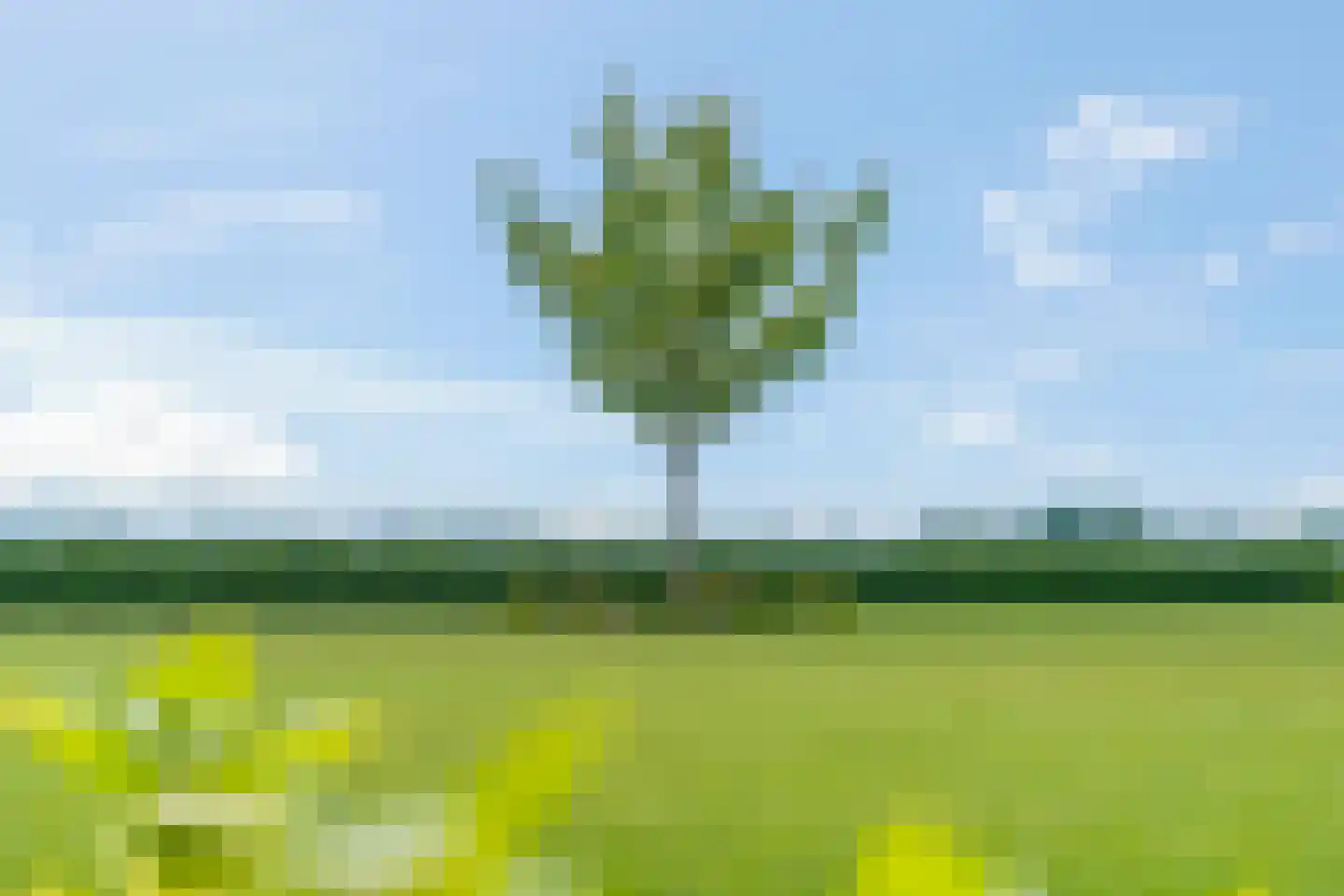 Retsestraat 14 Zoelen thumbnail 77