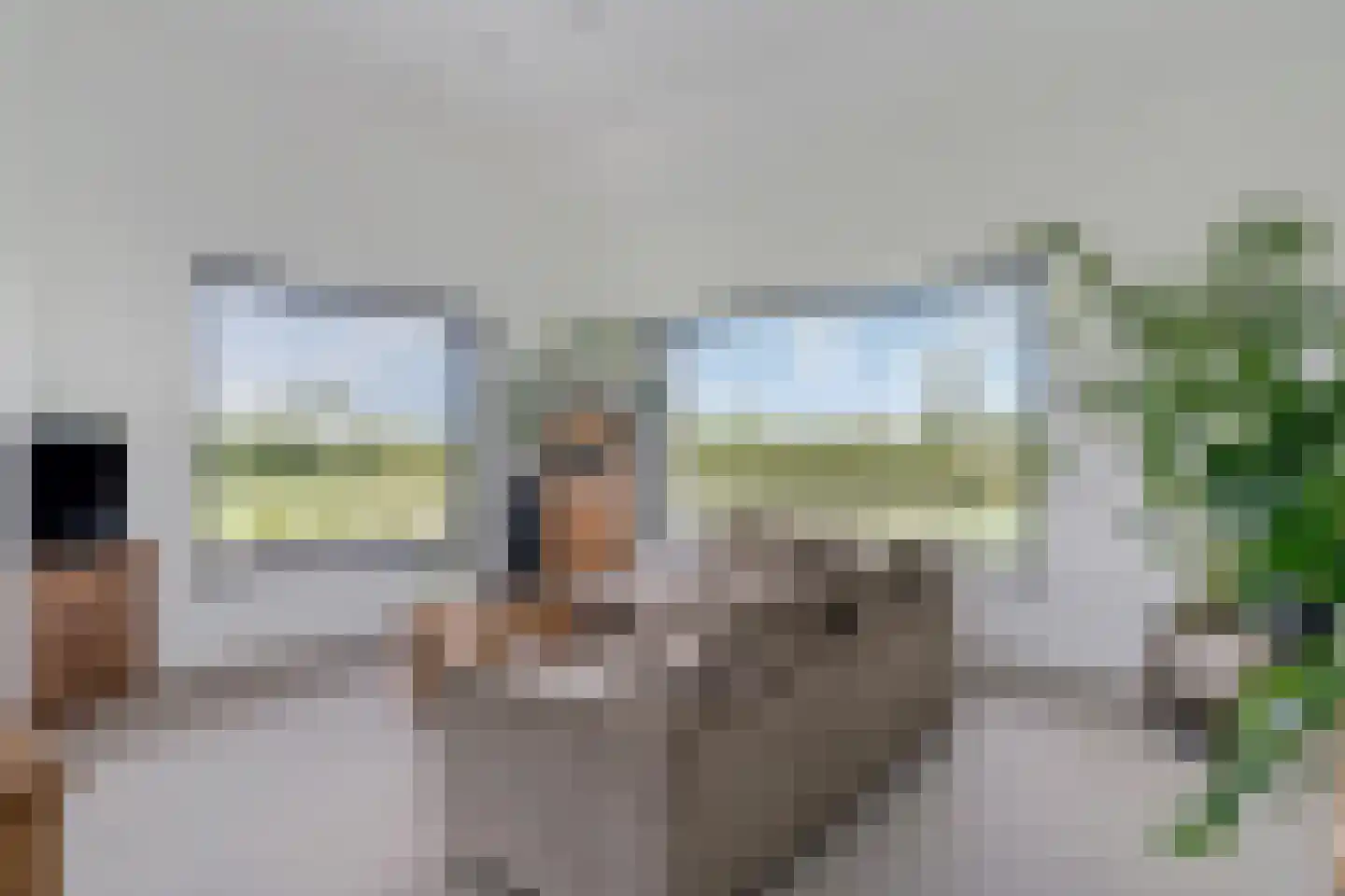 Retsestraat 14 Zoelen thumbnail 9