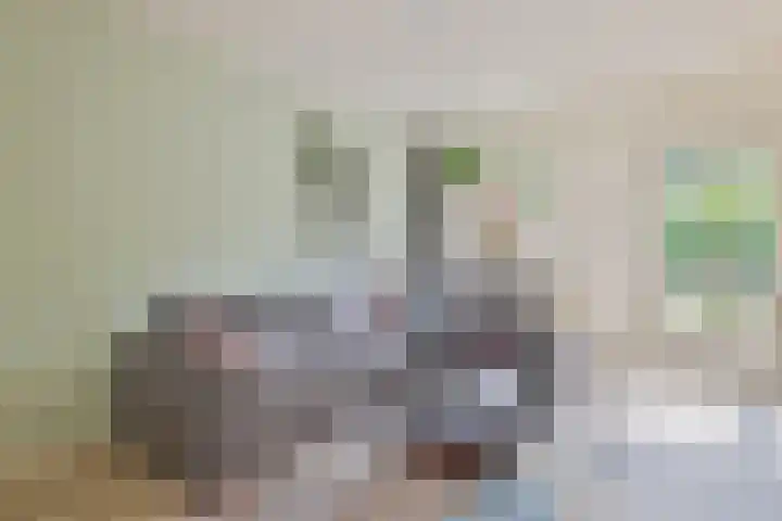 Retstraat 9 Beneden-Leeuwen thumbnail 10