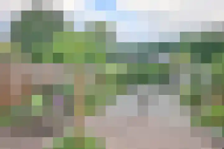 Retstraat 9 Beneden-Leeuwen thumbnail 14