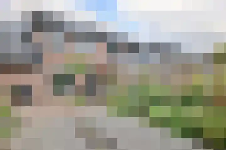Retstraat 9 Beneden-Leeuwen thumbnail 15