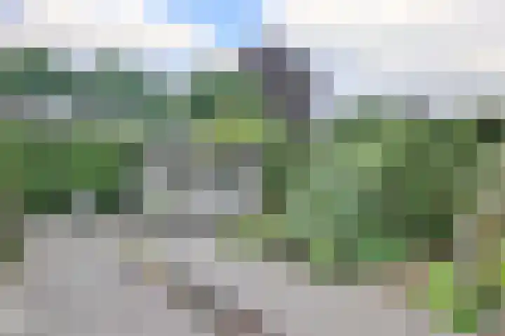 Retstraat 9 Beneden-Leeuwen thumbnail 17