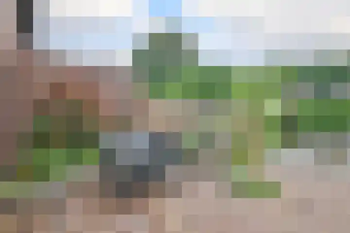 Retstraat 9 Beneden-Leeuwen thumbnail 19