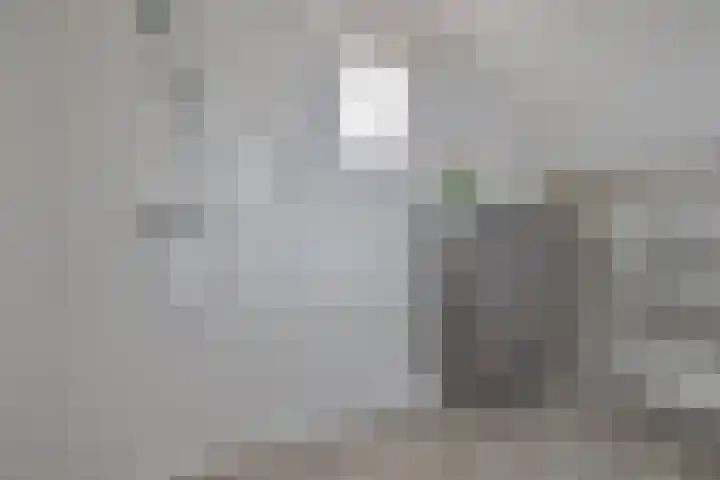 Retstraat 9 Beneden-Leeuwen thumbnail 23