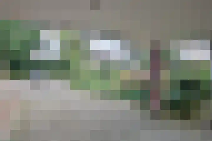Retstraat 9 Beneden-Leeuwen thumbnail 33
