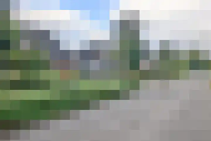 Retstraat 9 Beneden-Leeuwen thumbnail 40