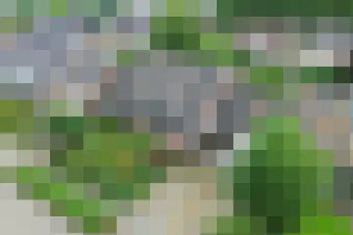 Retstraat 9 Beneden-Leeuwen thumbnail 43