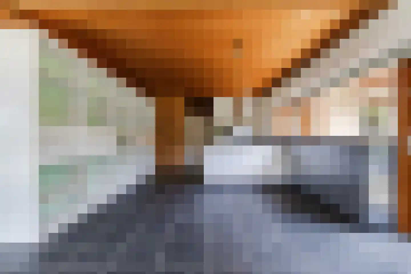 Reubsaetlaan 12 Sittard thumbnail 19