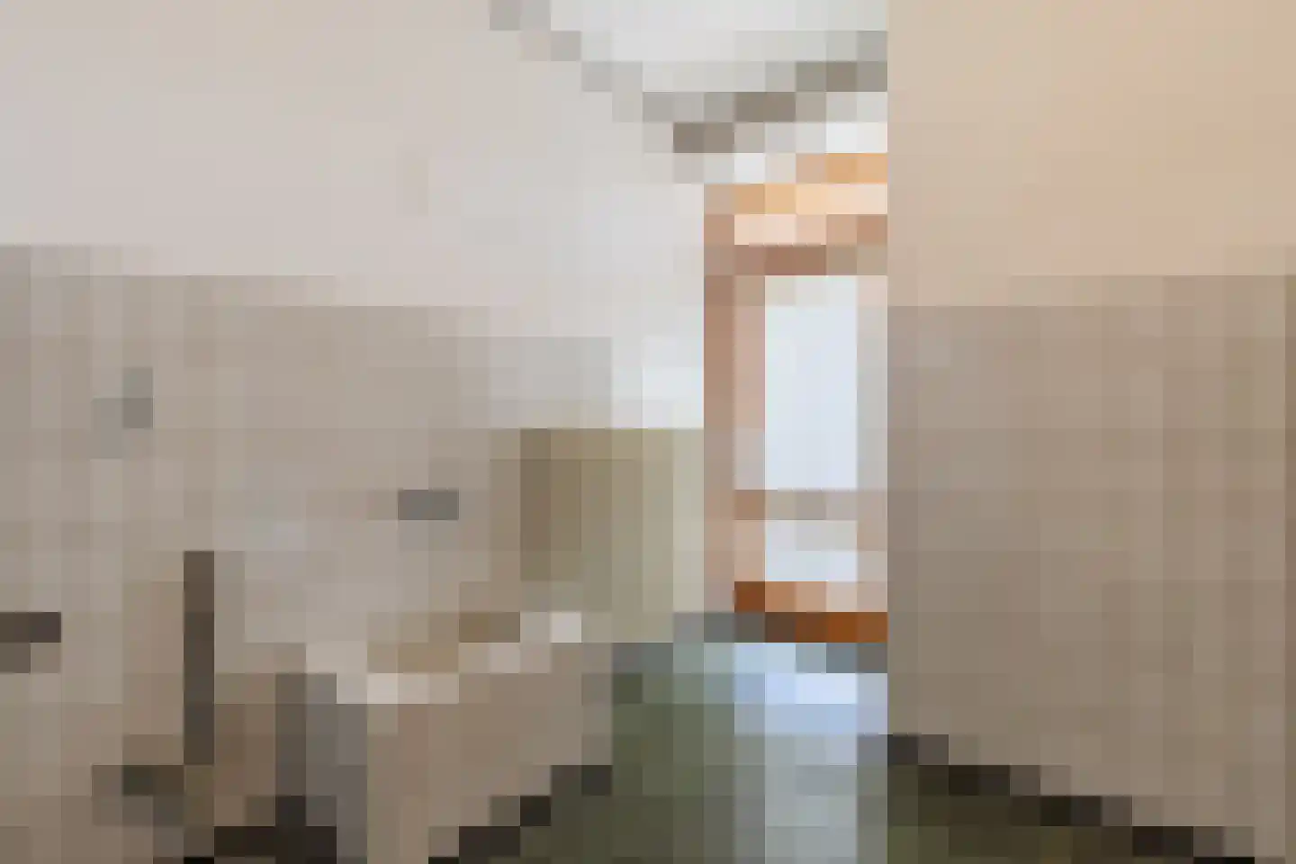 Reubsaetlaan 12 Sittard thumbnail 24
