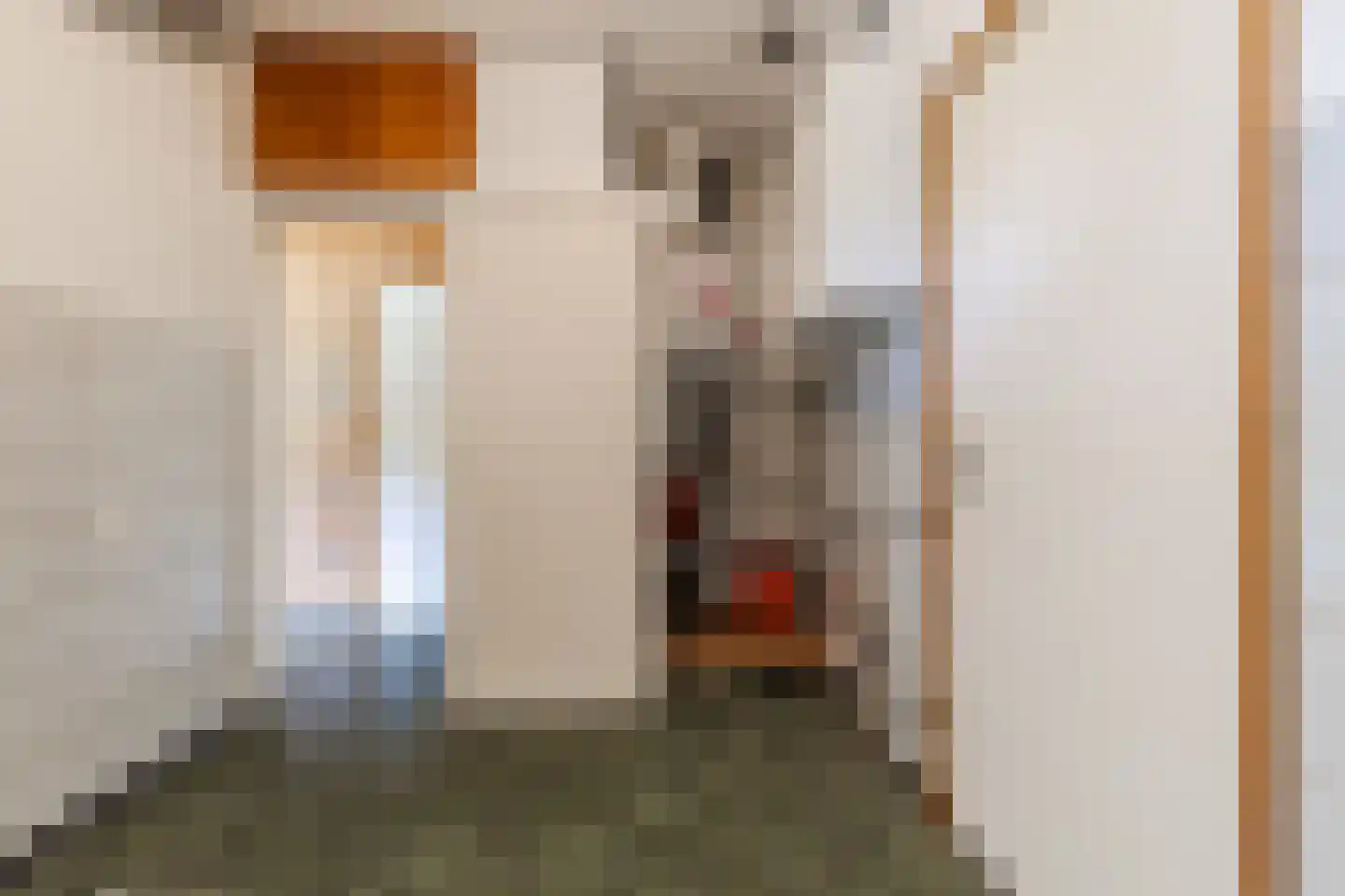 Reubsaetlaan 12 Sittard thumbnail 25