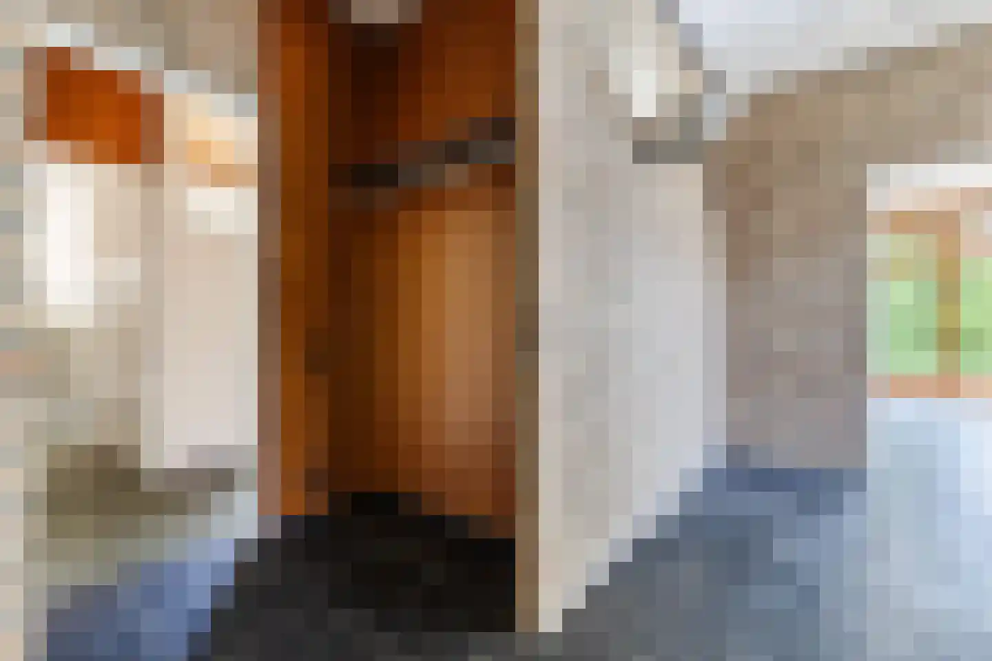 Reubsaetlaan 12 Sittard thumbnail 28