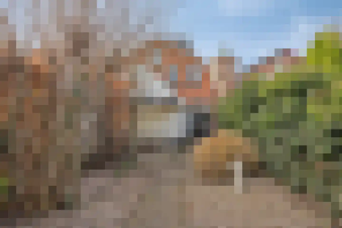Reudinkstraat 12 Enschede thumbnail 4