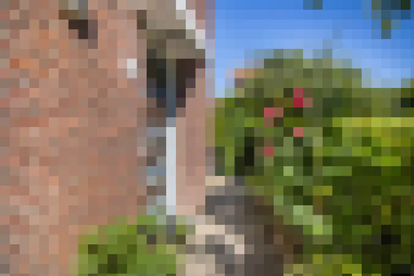 Reulsberg 15 Ede thumbnail 37