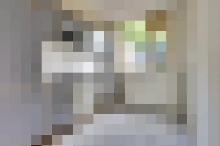Reurikwei 16 Arnhem thumbnail 14