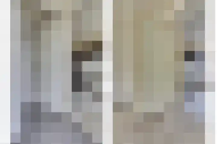 Reurikwei 16 Arnhem thumbnail 15