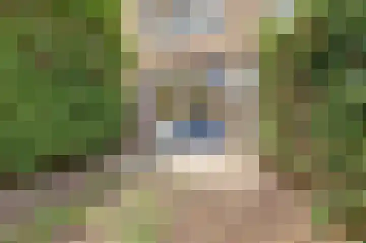 Reurikwei 16 Arnhem thumbnail 38