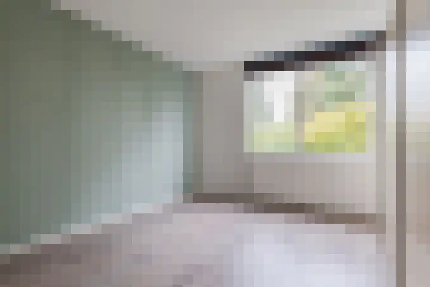 Reurikwei 47 Arnhem thumbnail 20