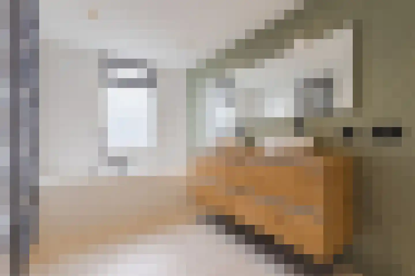 Reurikwei 47 Arnhem thumbnail 23