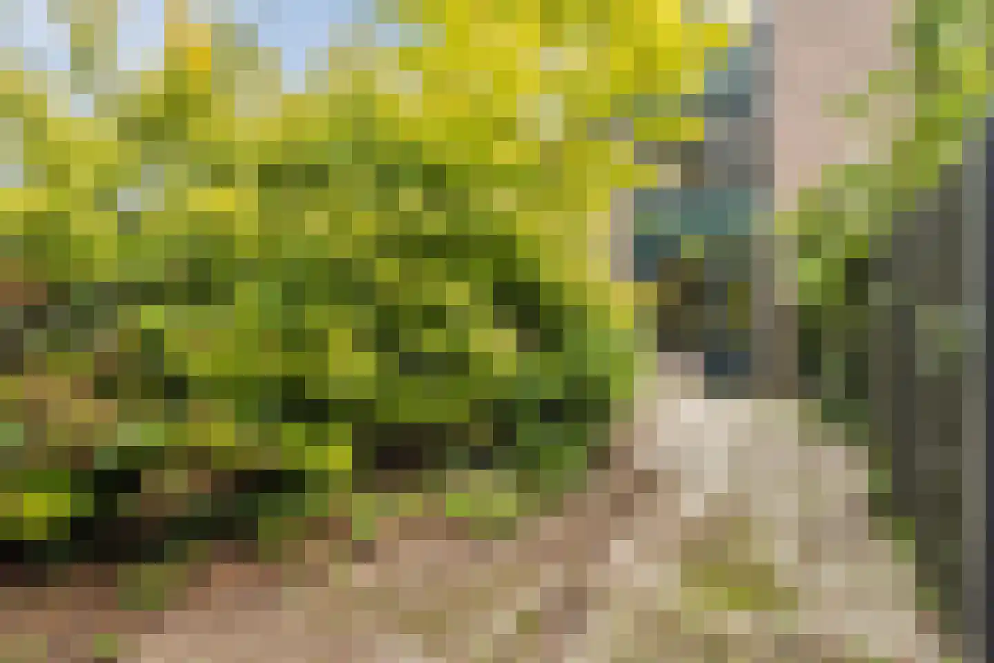Reurikwei 47 Arnhem thumbnail 33