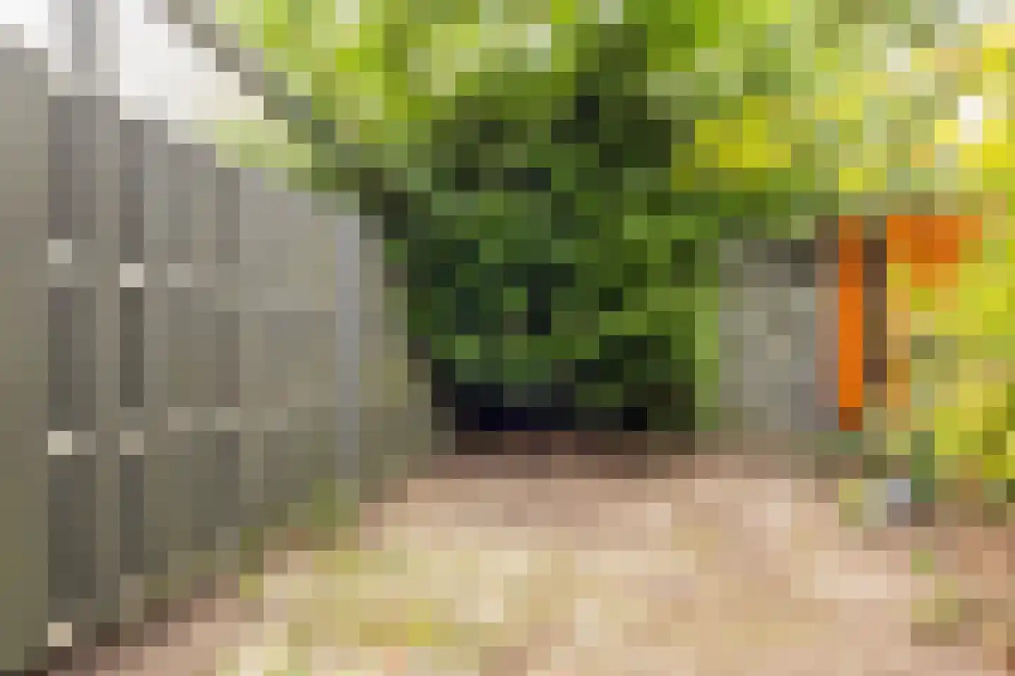 Reurikwei 47 Arnhem thumbnail 34