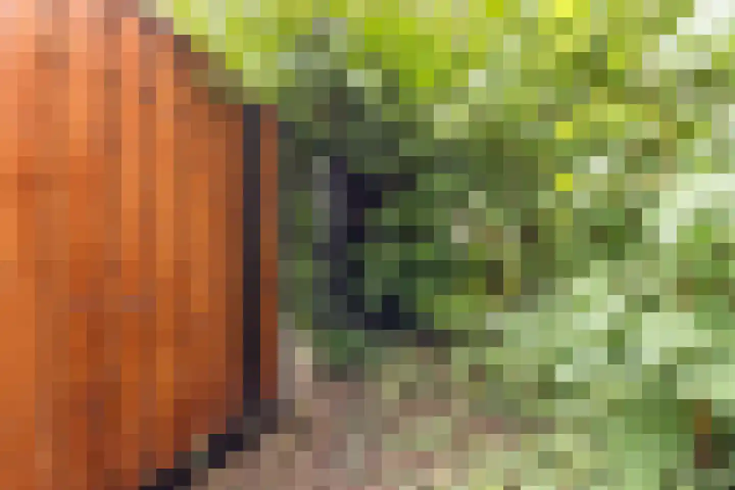 Reurikwei 47 Arnhem thumbnail 35