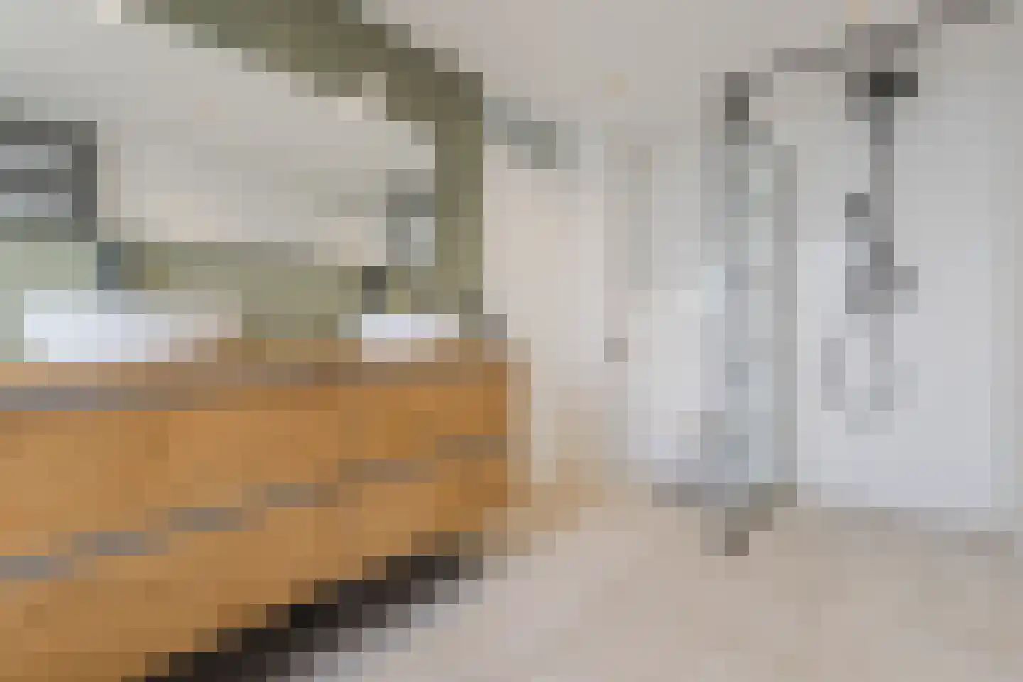 Reurikwei 47 Arnhem thumbnail 6