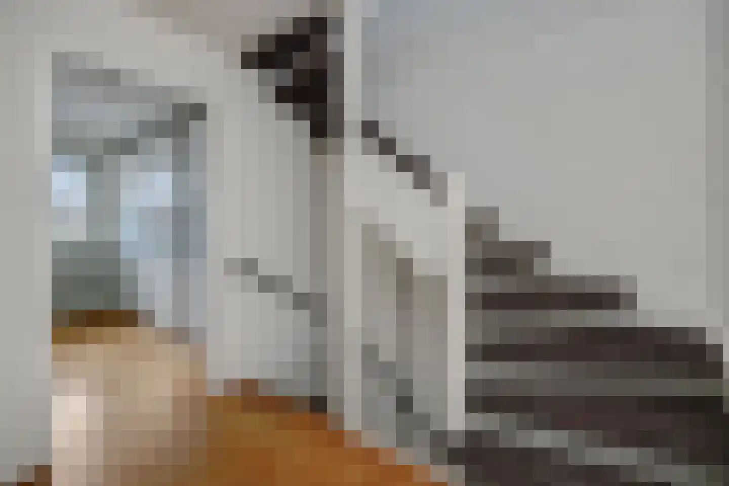 Reusel 15 Deurne thumbnail 23