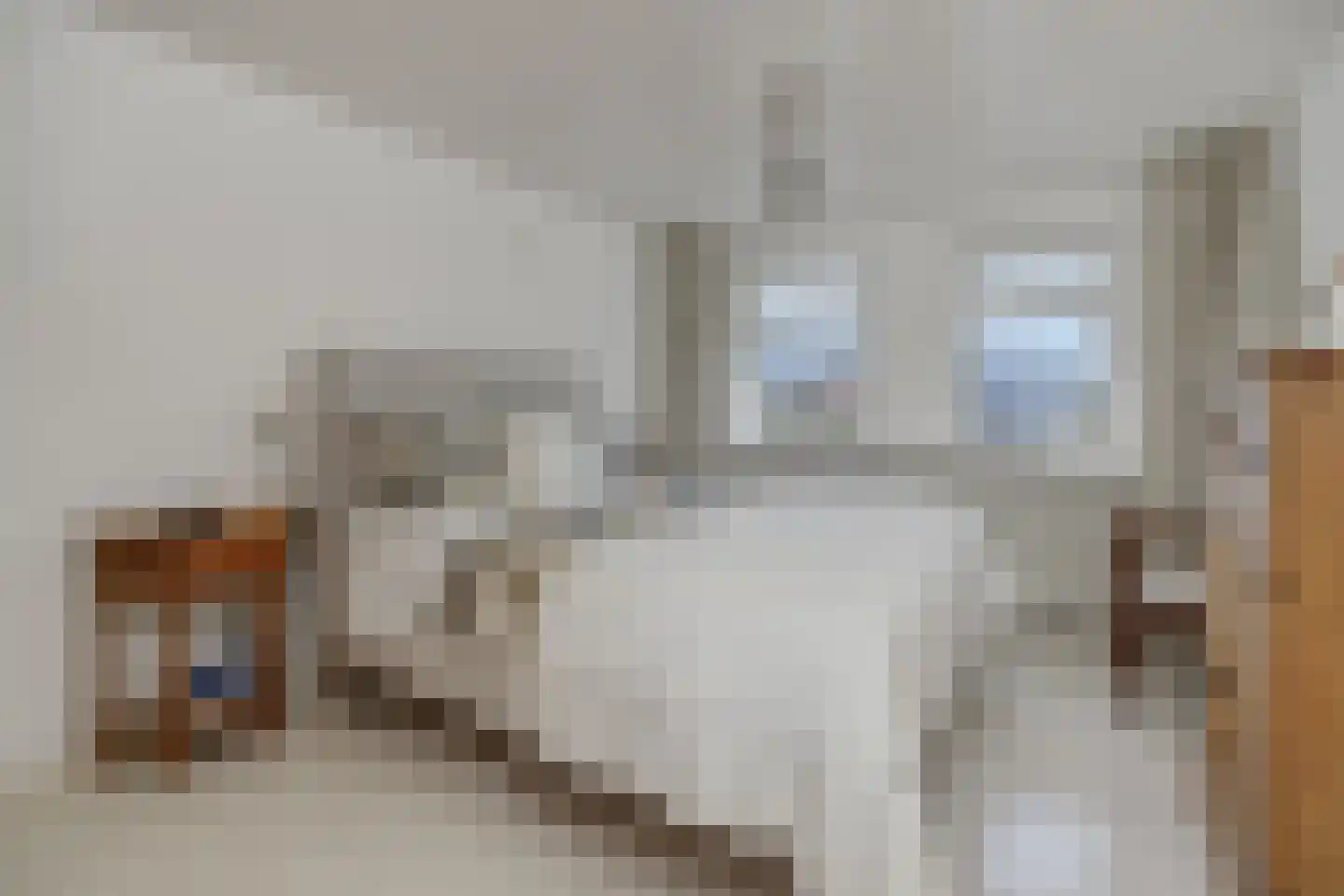 Reusel 15 Deurne thumbnail 25