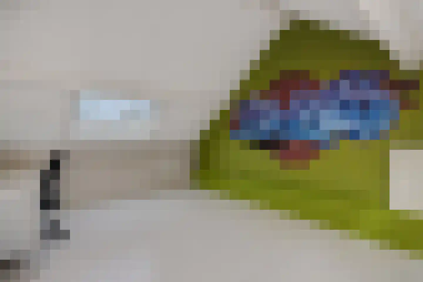 Reusel 15 Deurne thumbnail 33