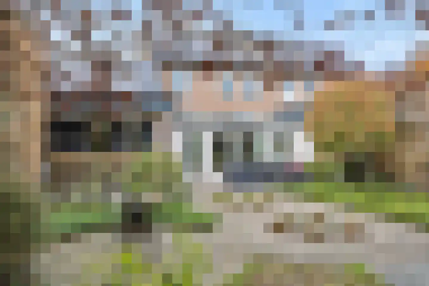 Reusel 15 Deurne thumbnail 39