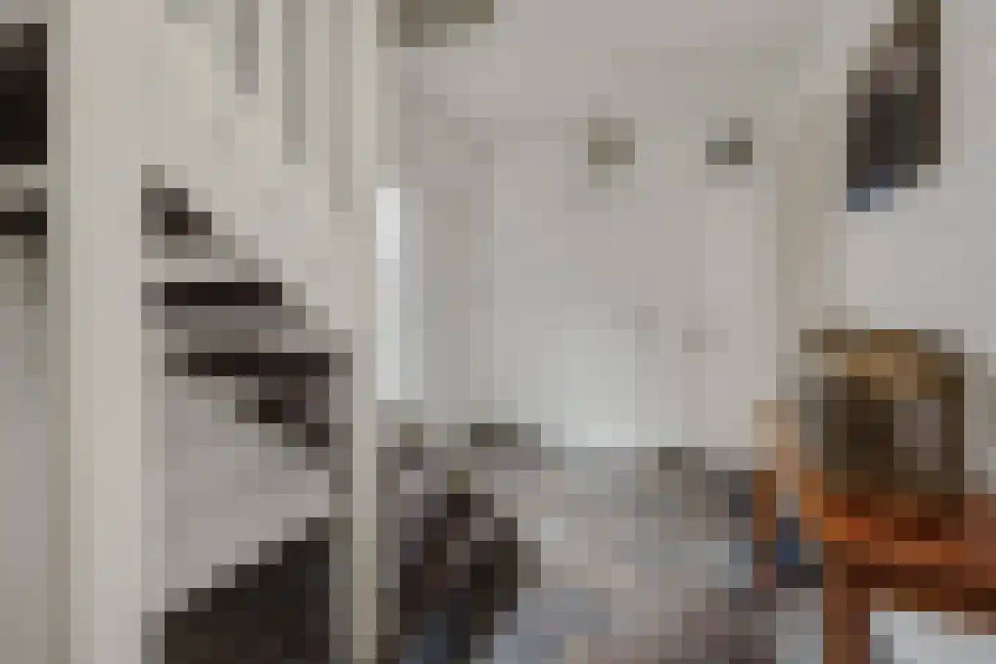 Reusel 15 Deurne thumbnail 7