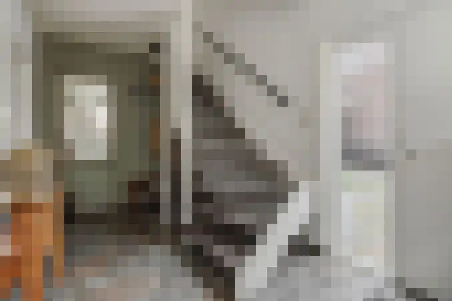 Reusel 15 Deurne thumbnail 8