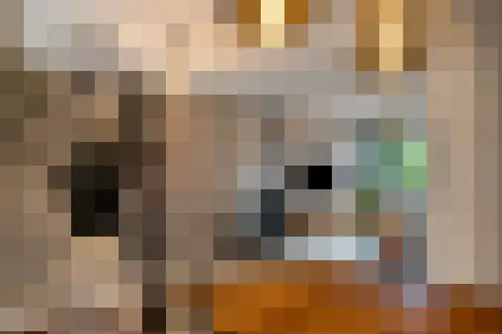 Reusel 2 Deurne thumbnail 12